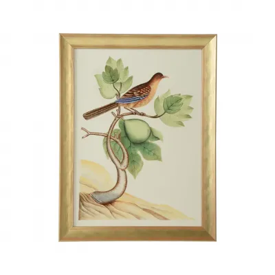 Watercolor Birds