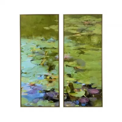 Light on Lily Pond