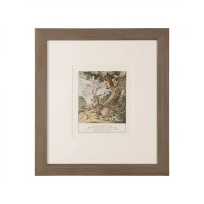 Antique Colored Stag I