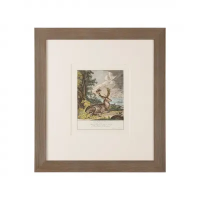Antique Colored Stag II