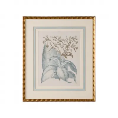 Besler Botanicals in Willow Blue I