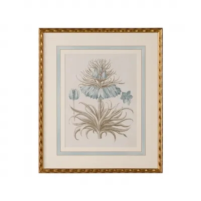 Besler Botanicals in Willow Blue II