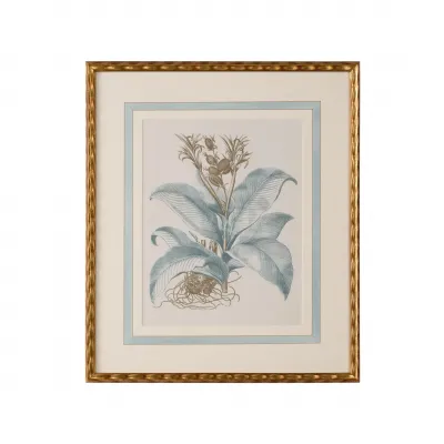 Besler Botanicals in Willow Blue III