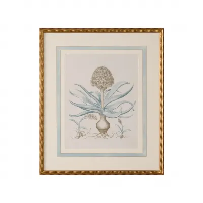 Besler Botanicals in Willow Blue IV