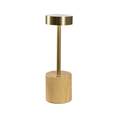 Theodore Rechargeable Lamp