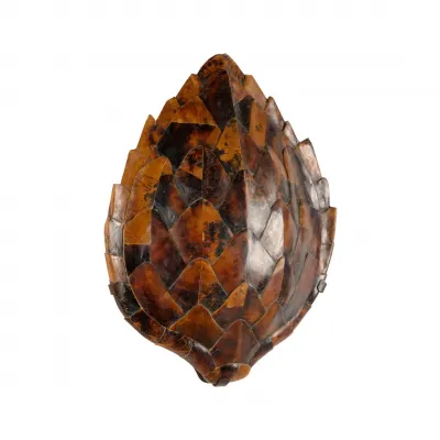 Penshell Sconce