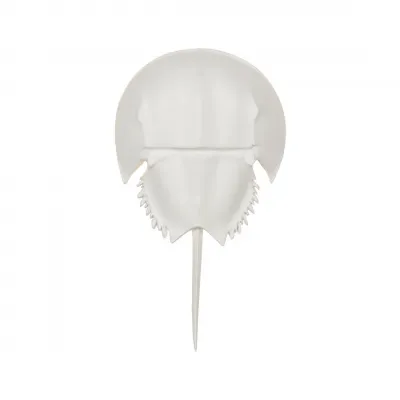 Horseshoe White Crab Sconce