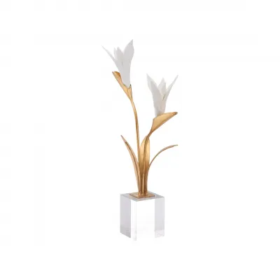 Bird of Paradise