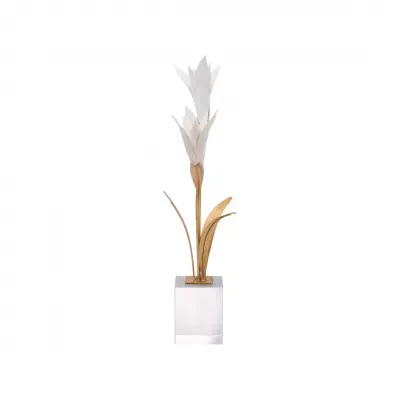 Bird of Paradise