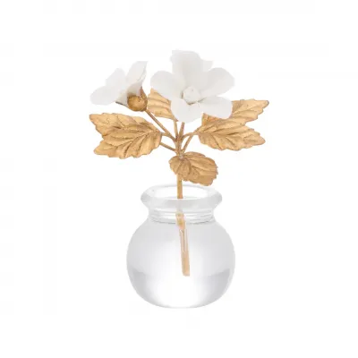 Violet Flower in Pot