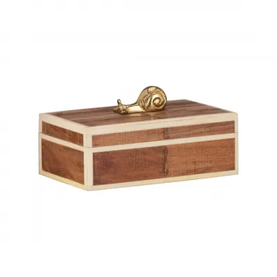 Snail Box