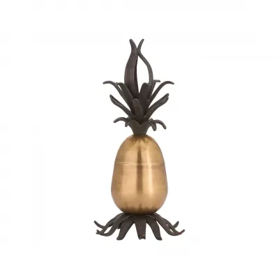 Pineapple Statue