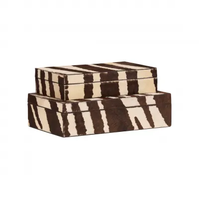 Zebra Boxes Set of 2