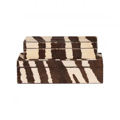 Zebra Boxes Set of 2