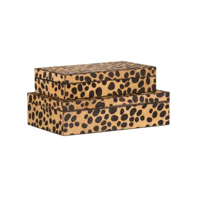 Leopard Boxes Set of 2