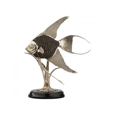 Angelfish Scales