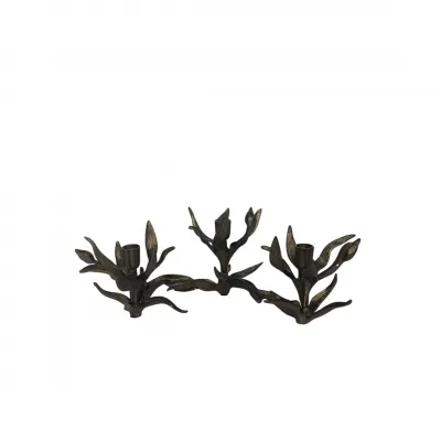 Bellatrix Candleholder