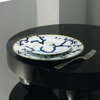 Cristobal Marine Dinnerware by Alberto Pinto