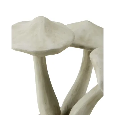 Concrete Mushrooms