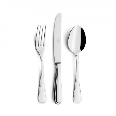 Dona Maria Steel Polished Flatware