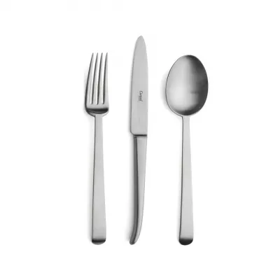 Ergo Steel Matte Flatware