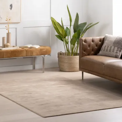 Alva Taupe Hand Loom Knotted Viscose Rug