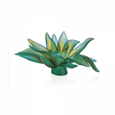 Jardin De Cactus Emilio Robba Green Agave Centrepiece (Special Order)