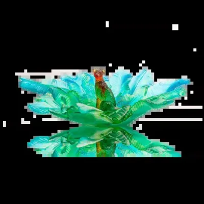 Tropical Voyage Centrepiece (Special Order)