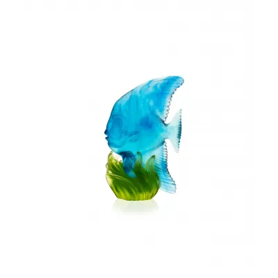 Maya Medium Blue & Green Platax Fish