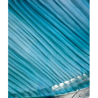 Maya Emperor Sailfish