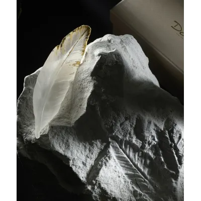 Patrick Rougereau Plum'ky