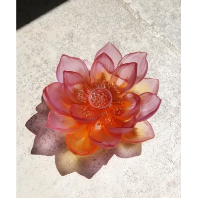 Jardin de Lotus Amber Pink Decorative Flower