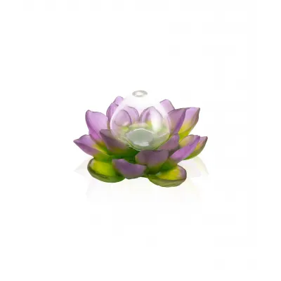Jardin de Lotus Green Pink Soliflore