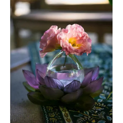 Jardin de Lotus Green Pink Soliflore