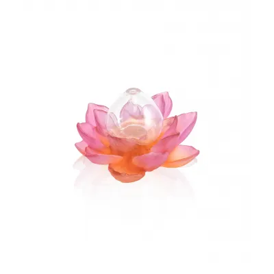 Jardin de Lotus Amber Pink Soliflore