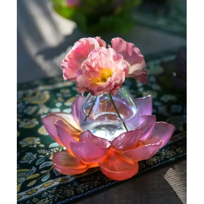 Jardin de Lotus Amber Pink Soliflore