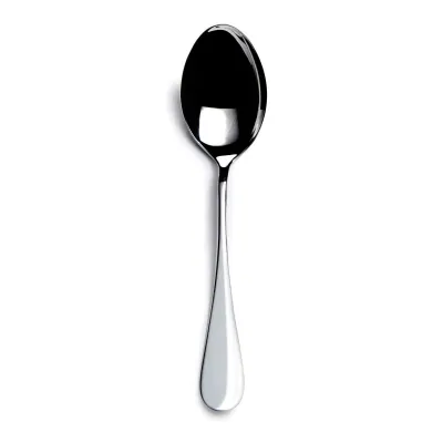 English Stainless Serving Spoon