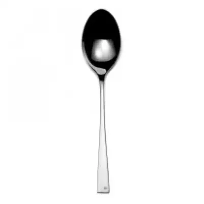 Embassy Stainless Serving Spoon