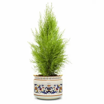 Ricco Deruta Cylindrical Cover Pot Design Cachepot Planter (Large) 12 in Rd x 10 high (Inside: 10D. x 9H.)