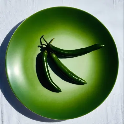 Nuage Moss Green Dinnerware