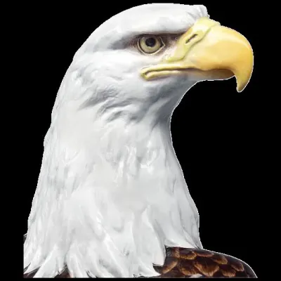 Exclusive Collection Bald Eagle H 78 Cm