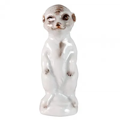 Young Animals Meerkats