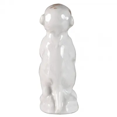 Young Animals Meerkats