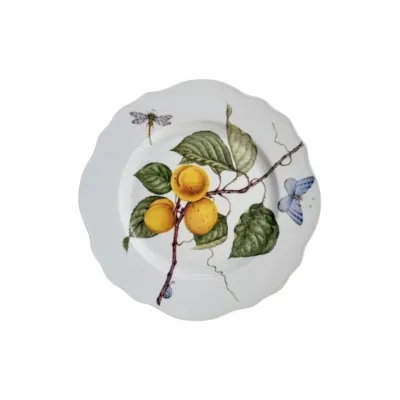 Anna's Secret Orchard Apricot Dinner Plate