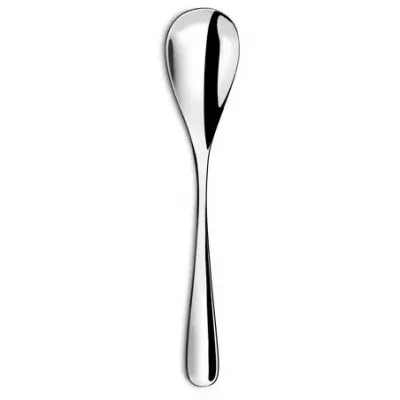 Eole Stainless Steel Serving Spoon