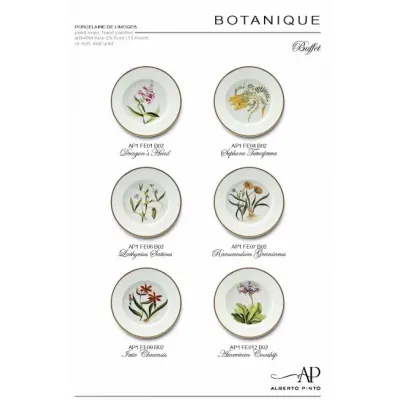 Botanique Dinnerware