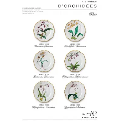 Histoire D'Orchidees Dinnerware