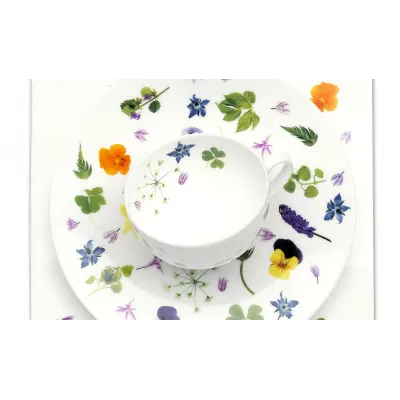 Wild Herbs Dinnerware