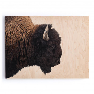 American Bison Maple Box 40" x 30"