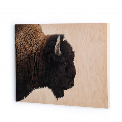 American Bison Maple Box 40" x 30"